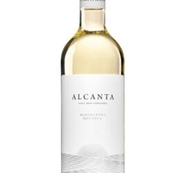 alcanta blanco