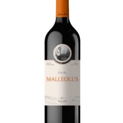 malleolus