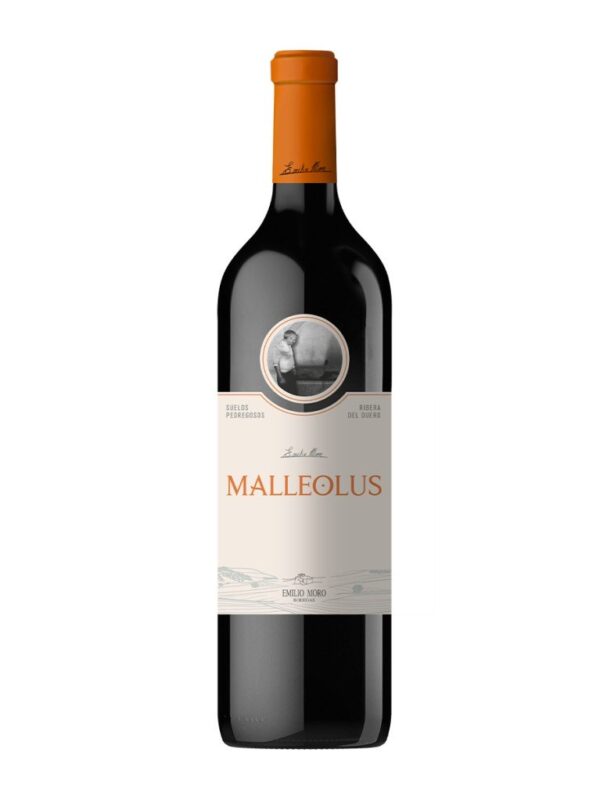 malleolus