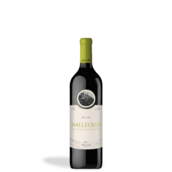 MALLEOLUS SANCHO MARTIN